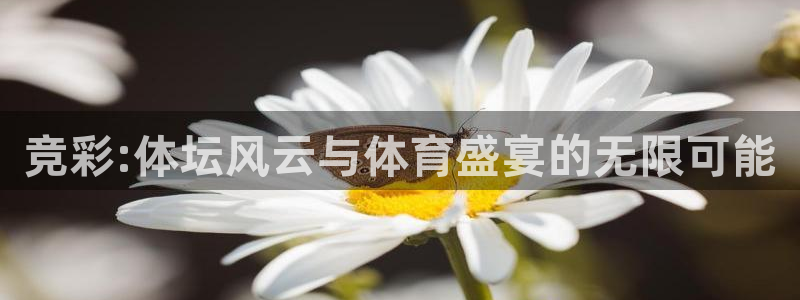 竞彩:体坛风云与体育盛宴的无限可能