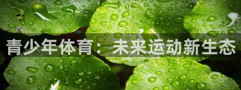 青少年体育：未来运动新生态